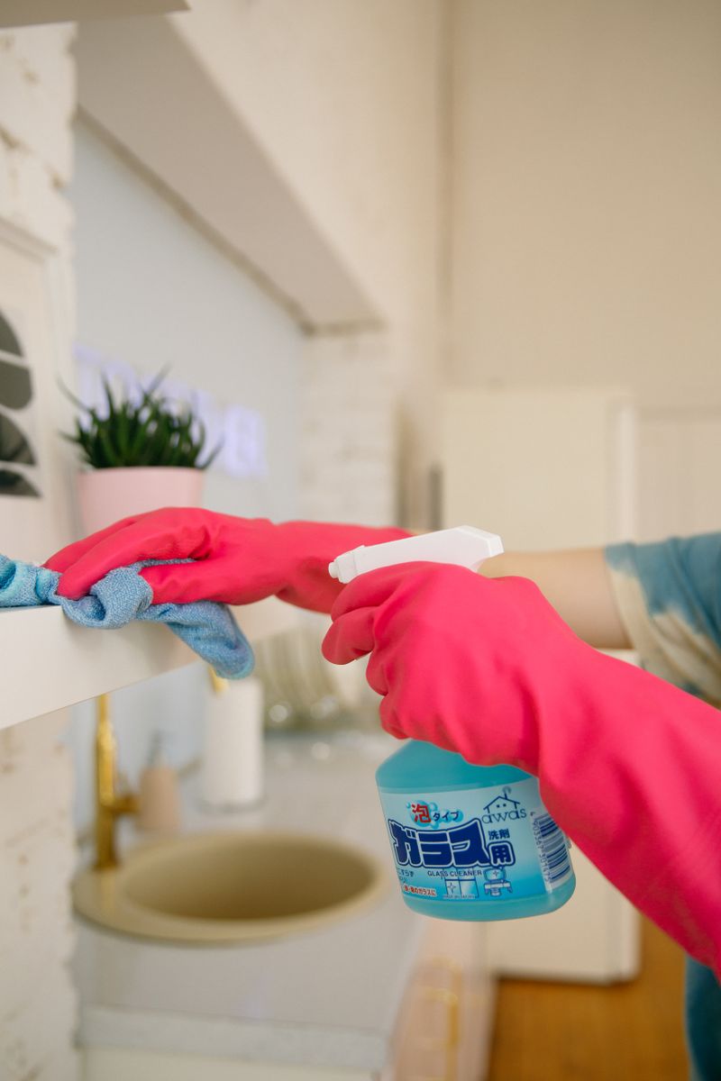 Move-Out & End-of-Tenancy Cleaning
